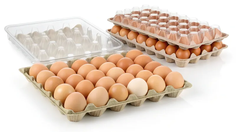 Multiple trays of brown eggs in cardboard trays with one covered by a plastic lid